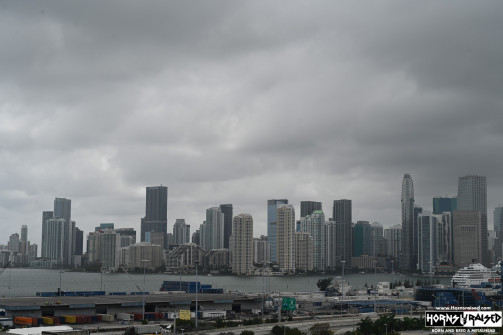 Miami skyline