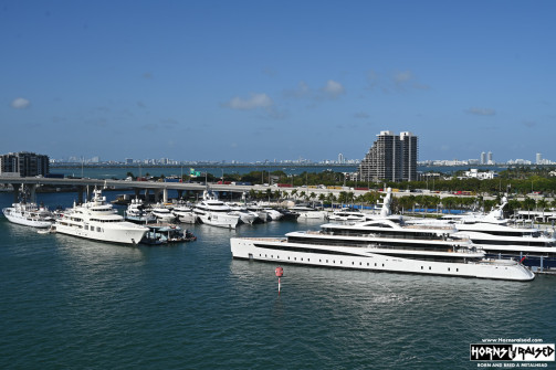 Miami yachts