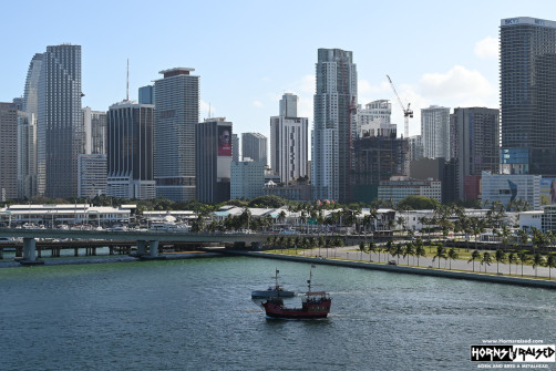 Miami skyline