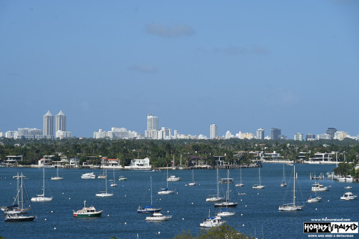 Miami skyline