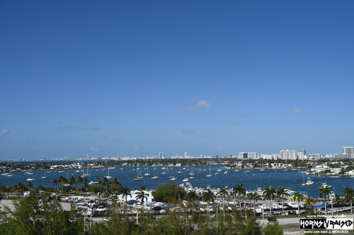 Miami skyline