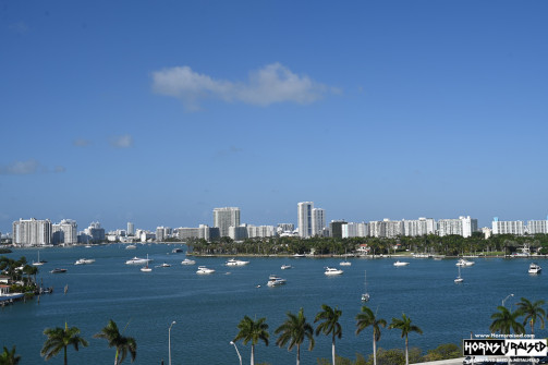 Miami skyline