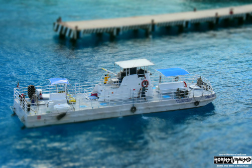 Cozumel view from the ship