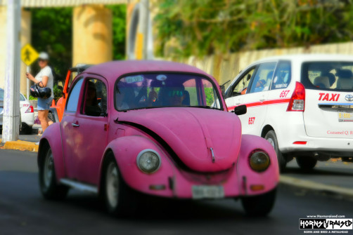 Punch buggy! Cozumel