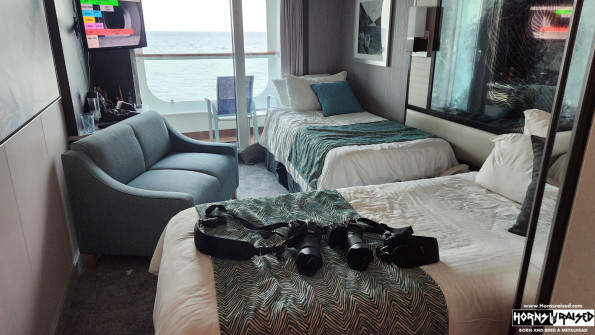 Cabin configuration v2 - Electric Booglaoo