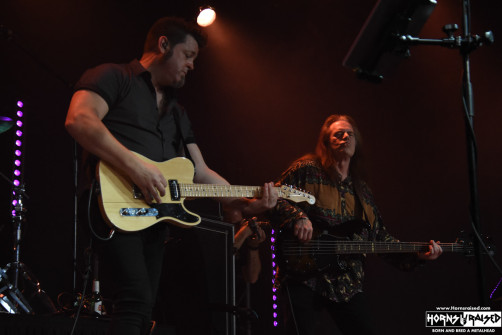 Pattern-Seeking Animals