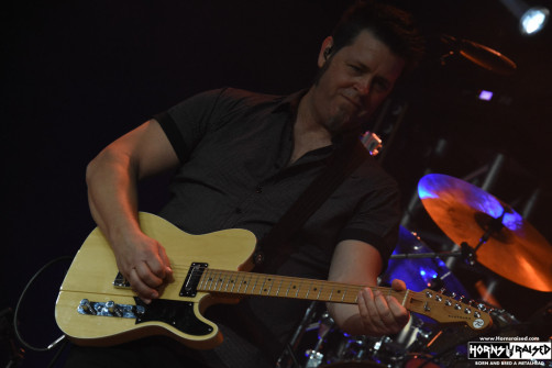 Pattern-Seeking Animals