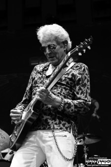 Don Felder