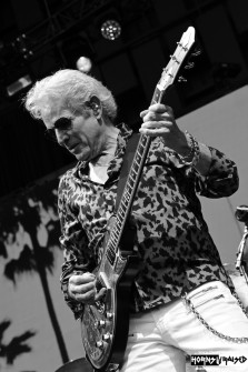 Don Felder