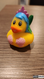 Look at the shells on that duck!