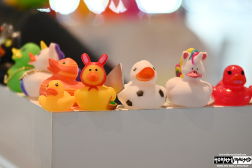 Ducks in the jewelry shop onboard the ship