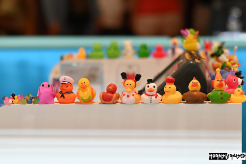 Ducks in the jewelry shop onboard the ship