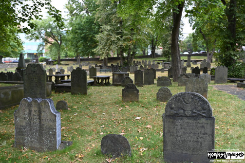 On The Blue Cruise | August 25, 2025 | Halifax, Nova Scotia