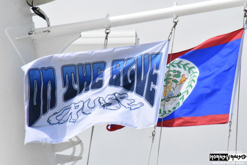 On the Blue Cruse flag