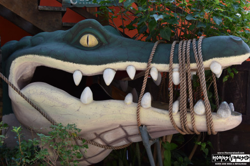 They have gators in Mexico?