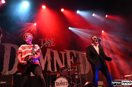The Damned