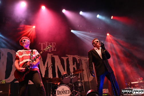 The Damned