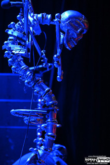 Elvis - side profile