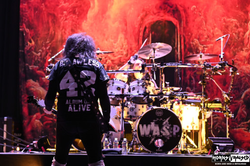 W.A.S.P.